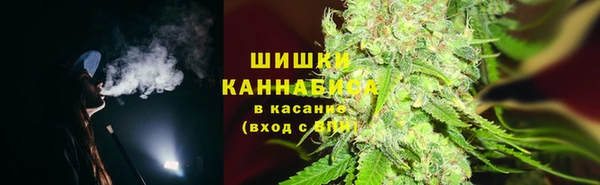 ГАЛЛЮЦИНОГЕННЫЕ ГРИБЫ Аркадак